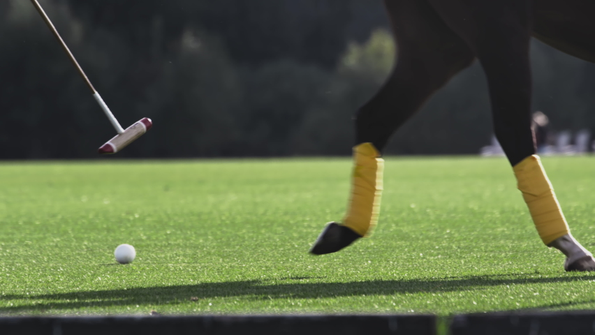 Polo game, slow motion. The players are holding a long-handled wooden mallet. The rider makes a successful kick, dribbles the ball. Two teams are fighting for victory, trying to score a goal