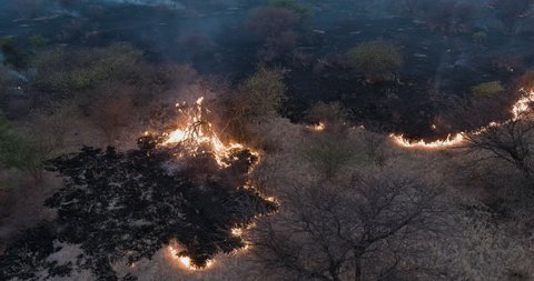 Climate emergency.Climate change. Global warming. Panning aerial view of a grass fire caused by drought and climate change, Southern Africa