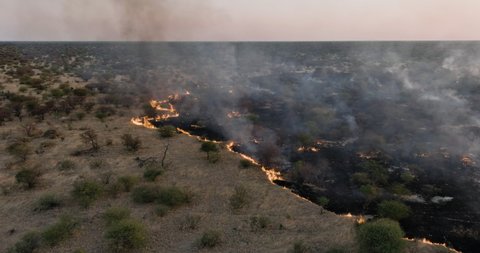 Climate emergency.Climate change. Global warming. Aerial fly over view of a grass fire caused by drought and climate change, Southern Africa