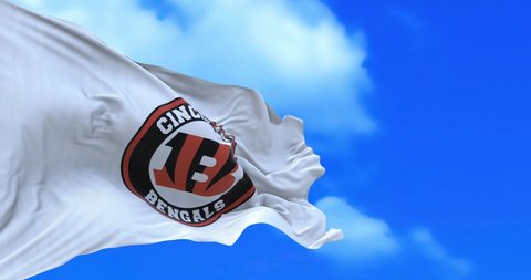 Cincinnati , USA - 30 October 2021 - Animated flag of The Cincinnati Bengals are a professional American football franchise based in Cincinnati.
