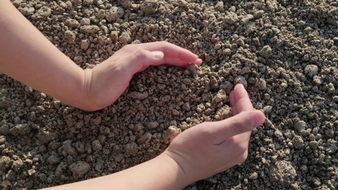 Hold a pumice stone washed ashore in the sea of ​​Okinawa by hand