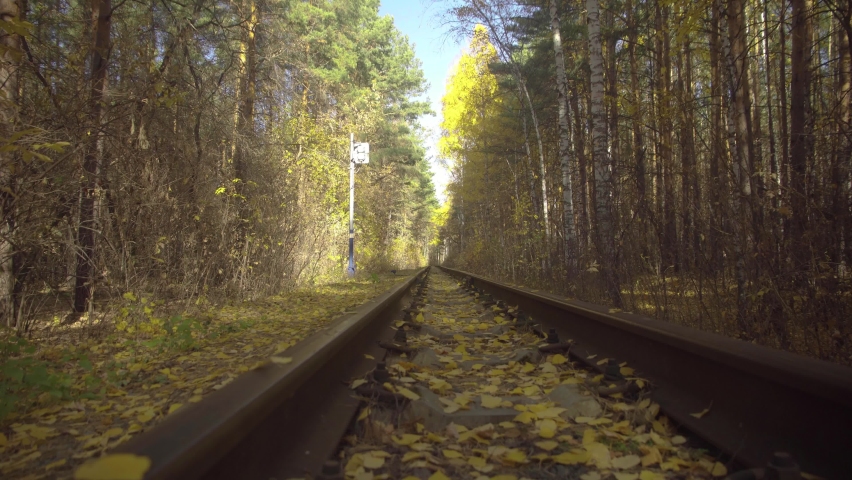 Railroad Through the Autumn Magic Forest. The Smooth Movement of the Camera Along the Railroad Strewn with Autumn Leaves. Yellow Leaves Fall in the Autumn Fairy Forest