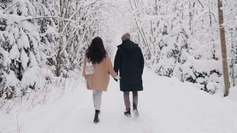 Cute Couple Walking in Winter Forest Holding Hands. Love Story From the Back View. Full Lenght Couple Walking