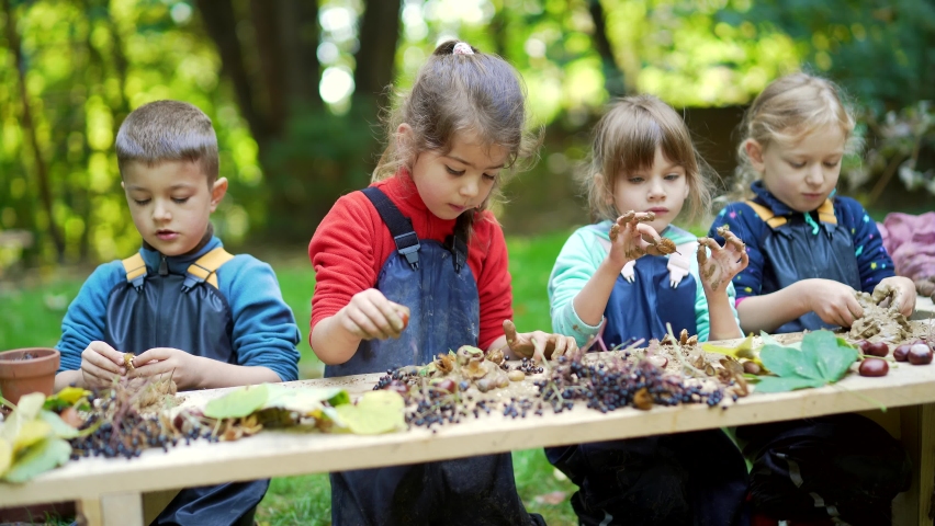 forest kindergarten. Happy Preschool or school group children play sculpt clay in swamp in park or forest. Outdoors small child have fun playing with mud. Summer Camp curious, kid leisure in nature Royalty-Free Stock Footage #1081540271