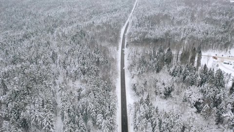 Winter forest landscape. Bird eye view. View of the forest in winter. Bird eye view. Flying winter forest. Trees in the snow. Nature. Belarus. Europe. Video. Road in the forest. 4K Nature
