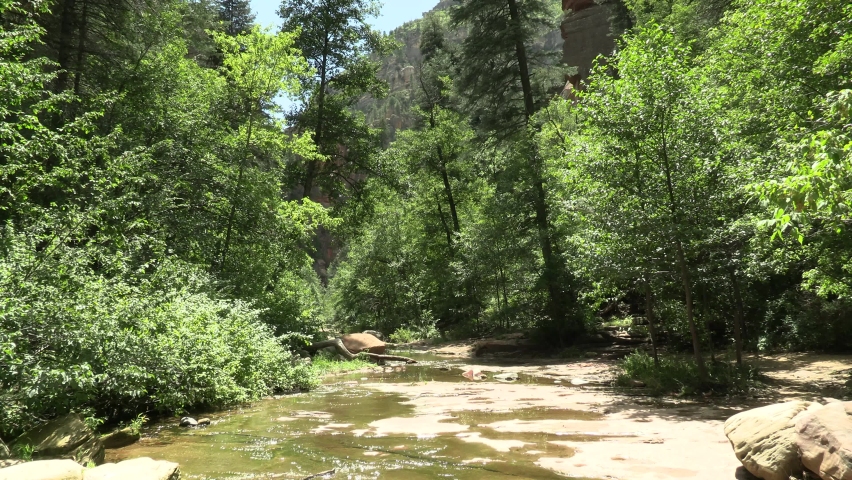 Peaceful River or Stream in Cococino National Forest Arizona in Summer