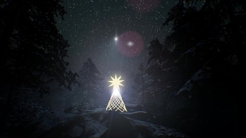 Magical Winter Forest night. Starry night sky animation. Christmas and new year animated background. Christmas Tree. Christmas Star.