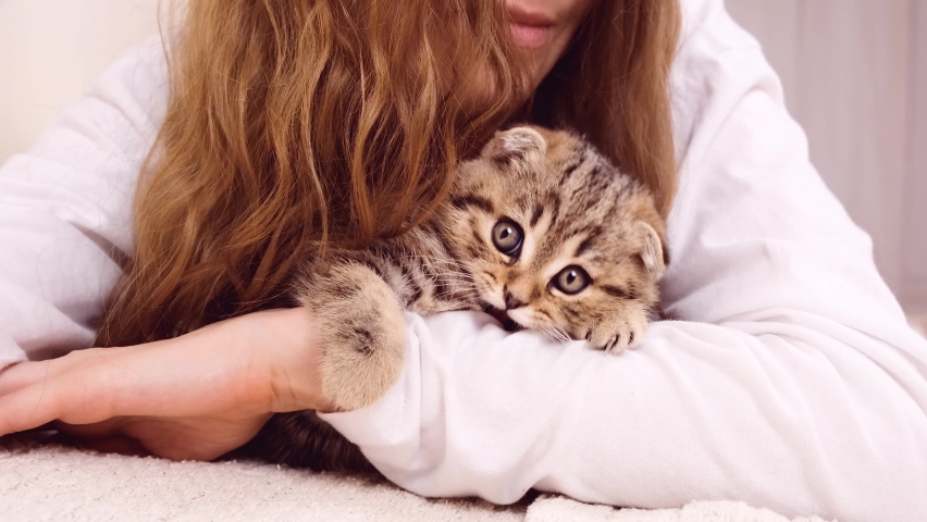 The kitten hugs the girl