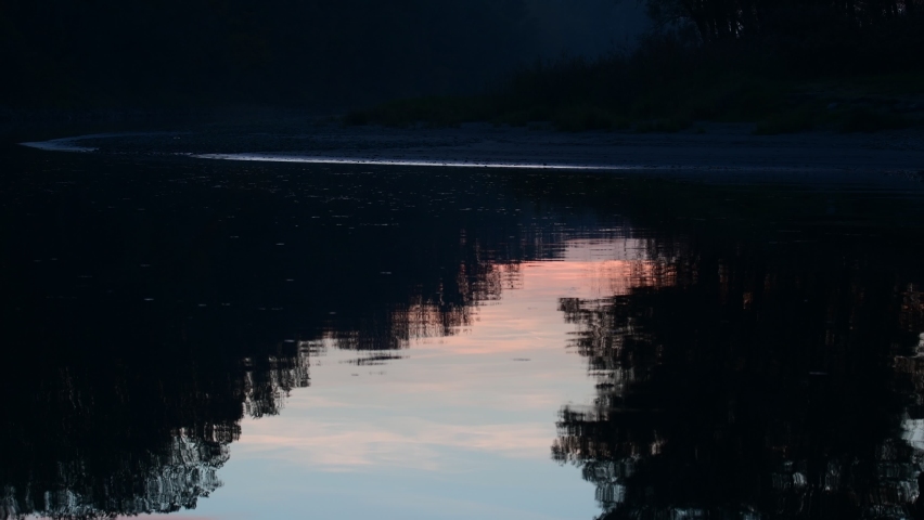 relfection of trees in the danube river near enns, upper austria