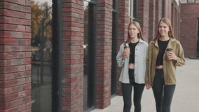 Tracking shot of happy young twin sisters holding hands and chatting while walking down street on nice summer day - Powered by Shutterstock - Get 15% off with code: PIKWIZARD15