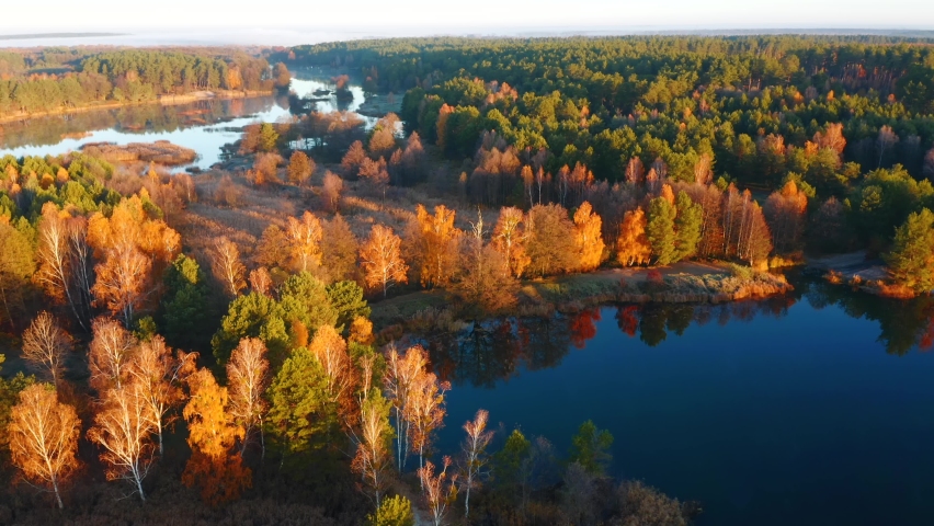 Attractive view from drone to the protected area at dawn. Bird