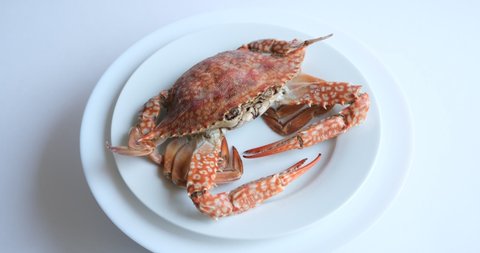 boiled crabs on a white background. red and white crab claws. floating crab