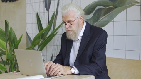 Company manager with grey beard preparing financial report, working on laptop