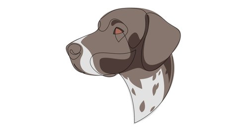 Self drawing simple animation of single continuous one line drawing German Shorthaired Pointer dog. Deutsch Kurzhaar head drawing by hand. The concept of pets, veterinary