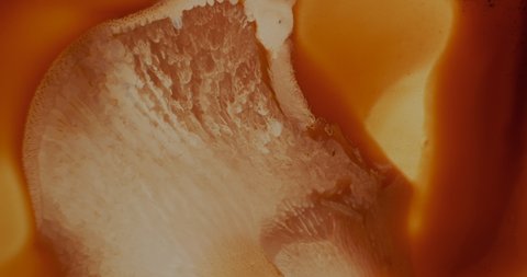 Orange acrylic paint abstract in motion, close-up. Flow art dynamic orange-yellow fluid ink. Texture of flowing orange colour set. Watercolor gold liquid background. Orange boil liquid backdrop