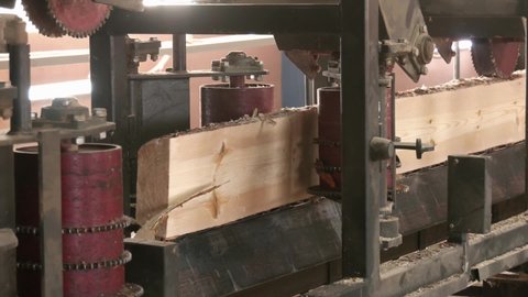 Woodworking Sawmill. sawmill on a wood manufacture.  Industry sawing boards from logs. Process of machining logs in equipment sawmill machine saw saws the tree trunk on the plank boards.