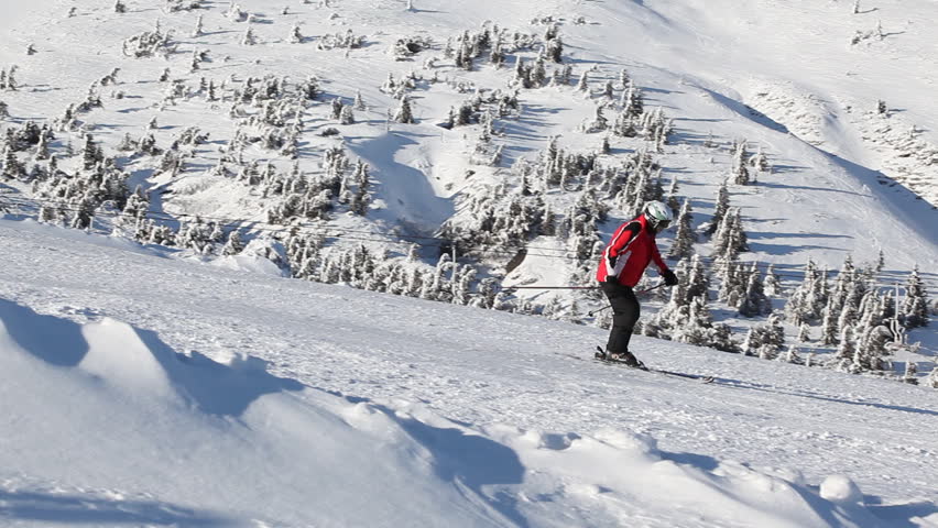skier