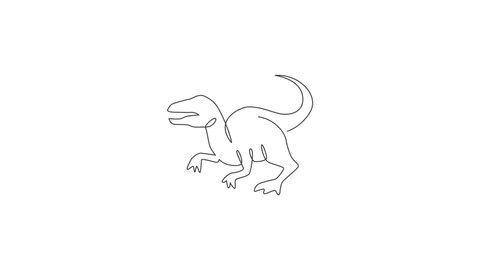 Animated self drawing of one continuous line draw aggressive predator velociraptor animal for logo identity. Raptor rex mascot concept for prehistoric museum icon. Full length single line animation.