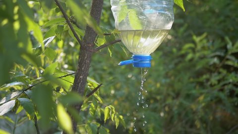Homemade Washbasin for Tourists in a Deciduous Forest in the Rays of Sunshine. Water Flows Out of a Plastic Bottle. An artificial drinker weighs on a tree. Water droplets drip to ground. Slow motion.