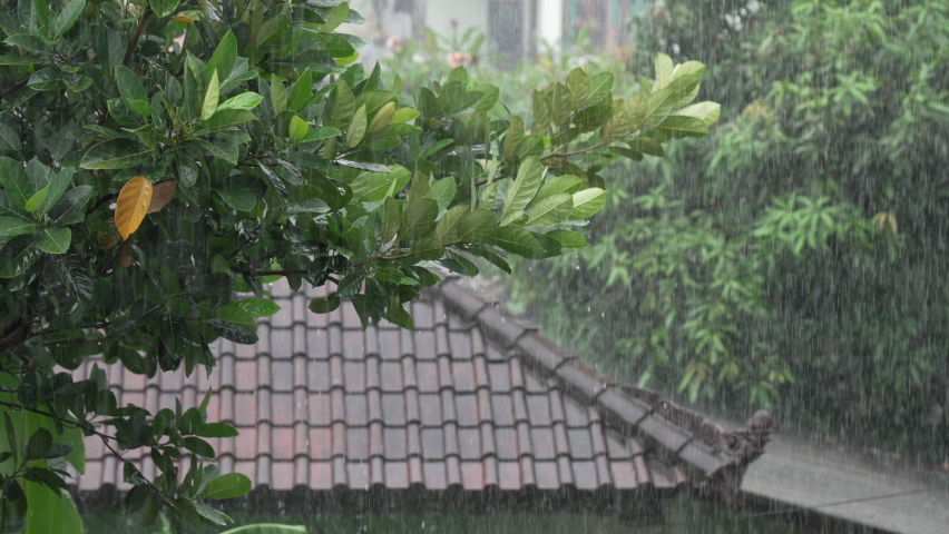 The brown roof of house c and the green tree under the torrential tropical rain. A beautiful shot with heavy downpour in the daytime. Urban environment. Rainy season in Indonesia on the island of Bali
