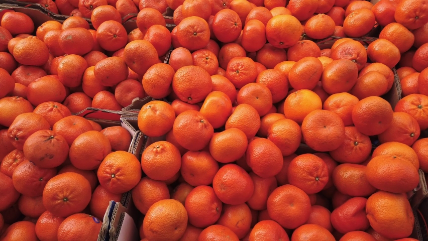 Piles of clementine fruit for sale on a market stall.  Truck left to right. Royalty-Free Stock Footage #1081669184