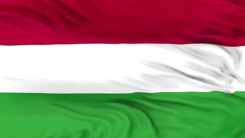 Hungary flag is waving 3D animation. Hungary flag waving in the wind. National flag of Hungary. flag seamless loop animation.