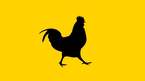 Silhouette of the walking rooster, animation on the yellow background