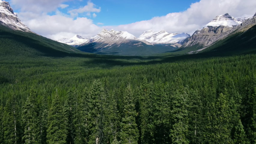 Top down view of vast larch forests in Alberta. Drone Shot of the pine woods and Scenic Mountains with snow Peaks in Banff National Park on a sunny day. Aerial video over a forest in Rocky Mountains Royalty-Free Stock Footage #1081702151