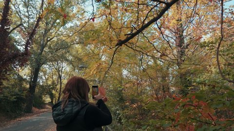 A Girl taking a photo of a leaf in the park in autumn, Montpellier - France, close shot