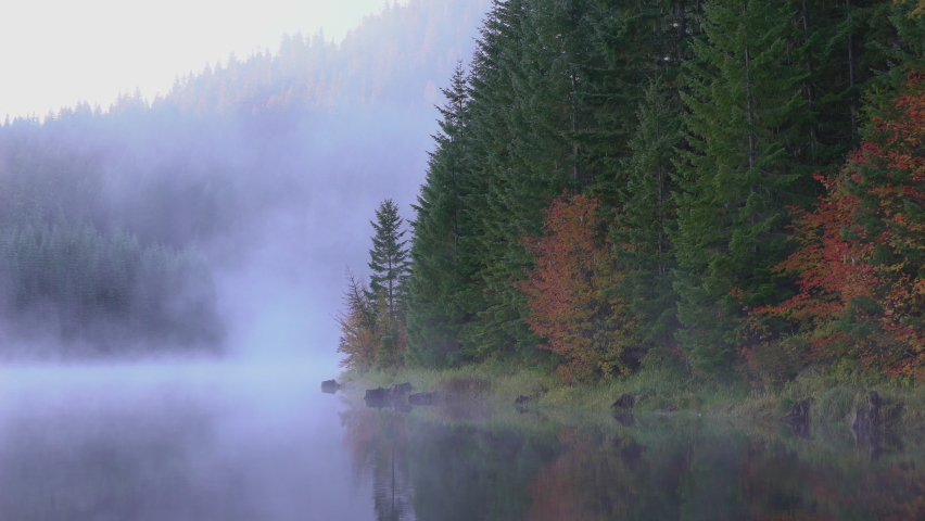 medium wide of lake edge with foggy forest in Autumn