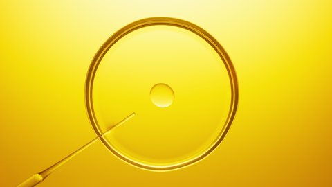Top view macro shot of pipette injects oil into transparent liquid in petri dish on yellow background. Abstract skin care cosmetics mixing concept