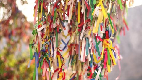 Close-up view 4k stock video footage of many bright colourful sunny ribbons hanging on branches of wish tree