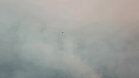 epic forest australian wildfire drone view , cloud of smoke, flying over the disaster with burning ground, smoking pine conifer trees