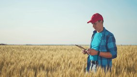 farmer. man farmer working in tablet the field wheat inspects the crop wheat germ natural a farming. business agriculture harvesting concept. farmer work wheat sun crop germ agriculture. - Powered by Shutterstock - Get 15% off with code: PIKWIZARD15