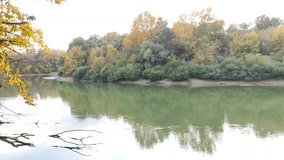 River flows slowly through the autumn forest, autumn, video