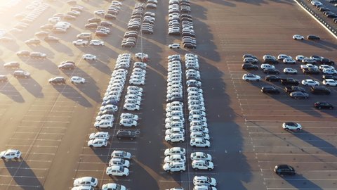 Aerial view of the dealership cars export or customs terminal in export and import business and logistics with a rows of new vehicles at sunset