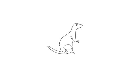 Animated self drawing of single continuous line draw cute standing ferret for company logo identity. Domestic animal mascot concept for national conservation park icon. Full length one line animation.
