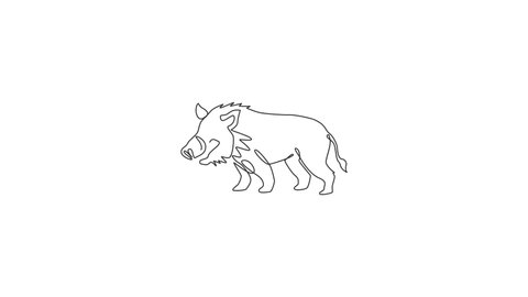 Animated self drawing of one continuous line draw savage common warthog for company logo identity. African savanna pig mascot concept for national safari park icon. Full length single line animation.