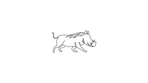 Animated self drawing of single continuous line draw wild common warthog for company logo. Saharan Africa pig mascot concept for national conservation park icon. Full length one line animation.