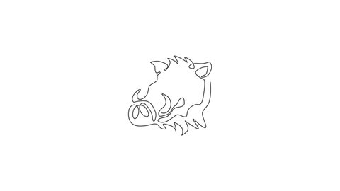 Animation of single one line drawing of ruthless common warthog head for company logo. Grassland Africa pig mascot concept for national zoo icon. Continuous line self draw animated. Full length motion