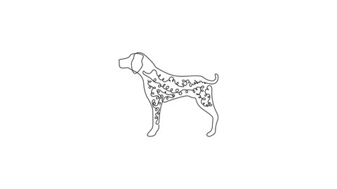 Animated self drawing of single continuous line draw funny german shorthaired pointer for logo identity. Purebred dog mascot concept for friendly pet icon. Full length one line animation.