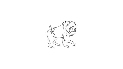 Animation of one line drawing of adorable mandrill for company logo. Big beauty primate mascot concept for national conservation park icon. Continuous line self draw animated. Full length motion.