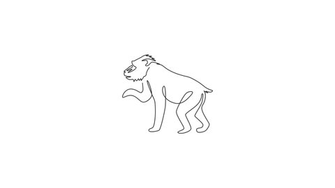 Animation of one line drawing of adorable mandrill for company logo. Big beauty primate mascot concept for national conservation park icon. Continuous line self draw animated. Full length motion.