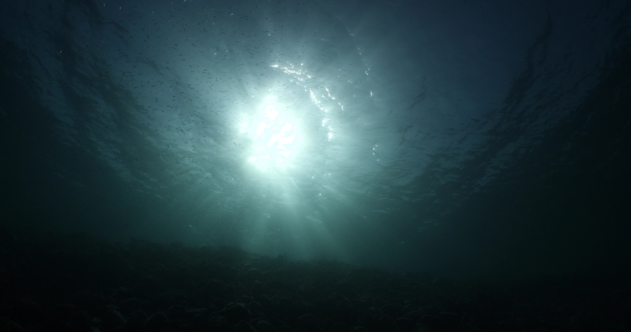 Sun ray and sun beam scenery underwater waves on surface of water slow ocean scenery | Shutterstock HD Video #1081751624
