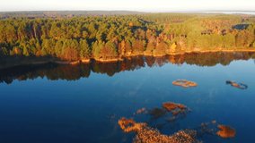 The drone flies in the wild area over a swampy lake. Bird's eye view. Location place of Small Polissya, Ukraine, Europe. Cinematic aerial shot. Discover the beauty of earth. Filmed in 4k, drone video.