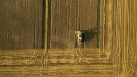 View from the height of the combine that harvests a ripe wheat crop. Location place of Ukrainian agrarian region, Europe. Cinematic aerial shot. Season of gathering crops. Filmed in 4k, drone video.