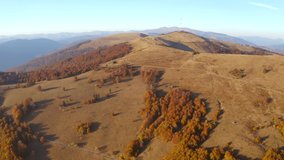 A drone flies over the tranquil colorful mountains on a sunny day. Location place Carpathian mountains, Ukraine, Europe. Cinematic aerial shot. Discover the beauty of world. Filmed 4k, drone video.