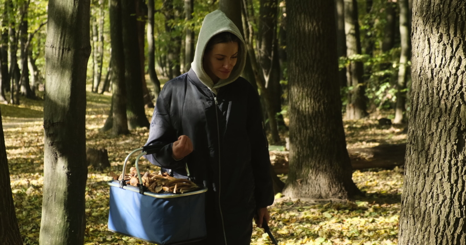 woman in a in a raincoat and a hoodwith a basket of mushrooms walks through the autumn forest, around hemp and leaves. search for mushrooms, a hobby. rest in the forest, weekend in the mountains. 