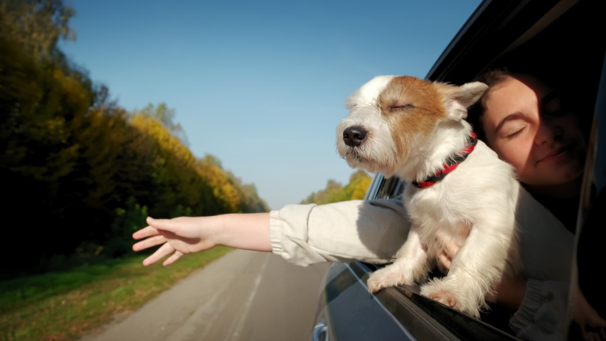 Dog and girl sticking their heads out the car window. Slow motion