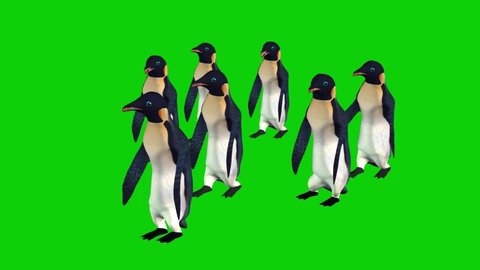 Penguins Walking on Green Screen